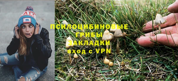 прущая мука Абаза