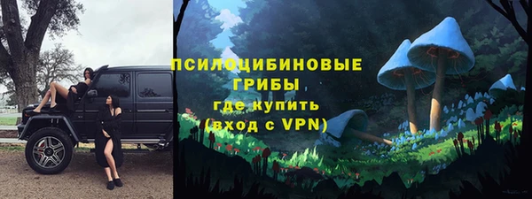 прущая мука Абаза