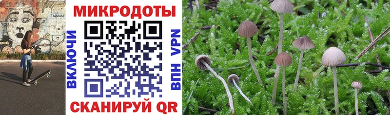 omg как зайти  Ржев  Псилоцибиновые грибы Magic Shrooms  купить  сайты 
